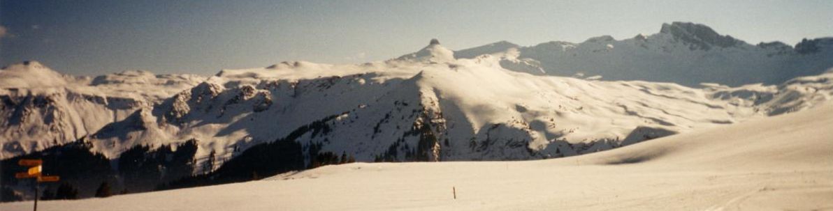 Panoramablick von der Alp Panüöl - Spitzmeilen und Wissmilen